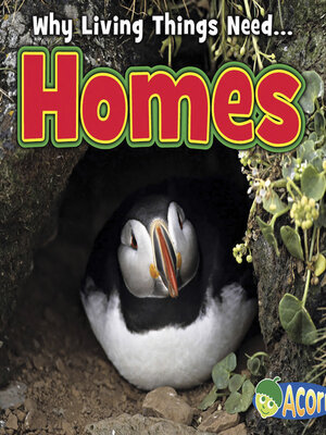 cover image of Homes